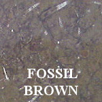 Fossil Brown Limestone Remnants